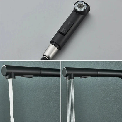 Keukenkraan - FlexiTap - Uittrekbare Tuit - Roestvrijstaal