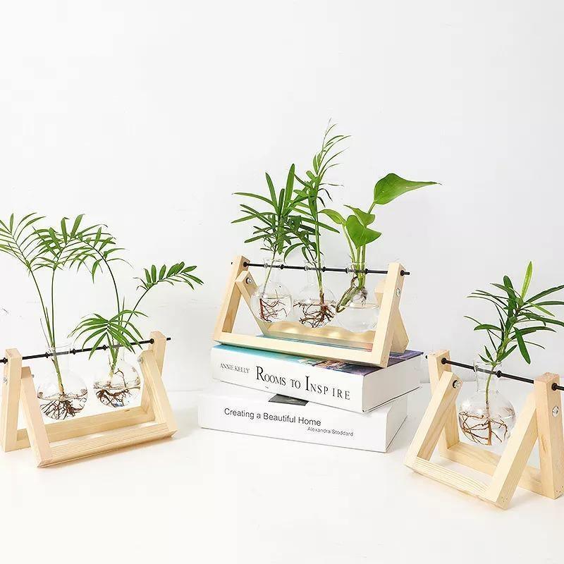 Propagatievaas - GlassNest - Houten Stand - Decoratieve Plantenhouder