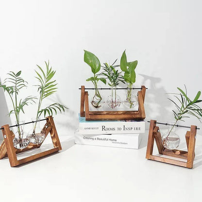 Propagatievaas - GlassNest - Houten Stand - Decoratieve Plantenhouder