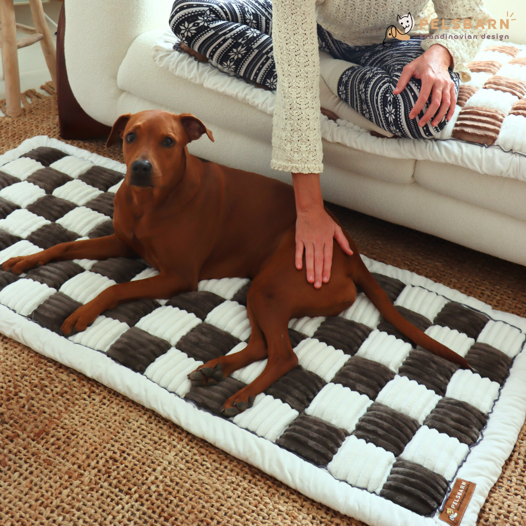 Bankbeschermer - FurGuard - Waterdicht Materiaal - Huisdiervriendelijk Ontwerp