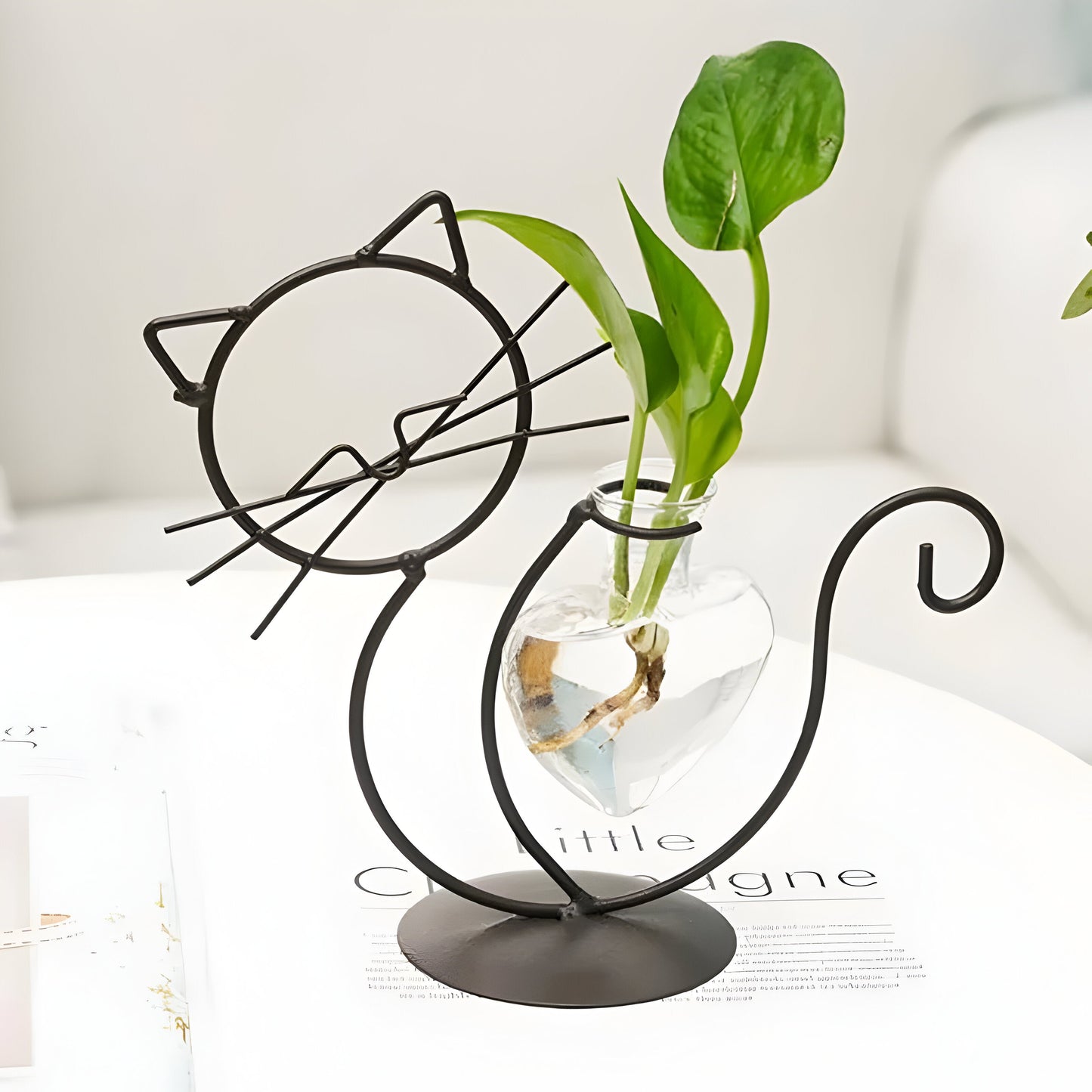 Hydrocultuur Vaasje - AquaPurr - Hartvormig Glas - Katvormige Houder