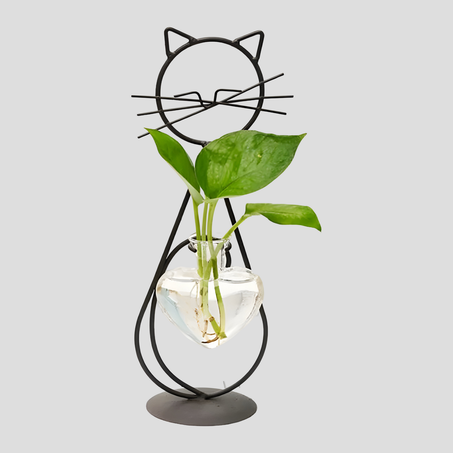 Hydrocultuur Vaasje - AquaPurr - Hartvormig Glas - Katvormige Houder