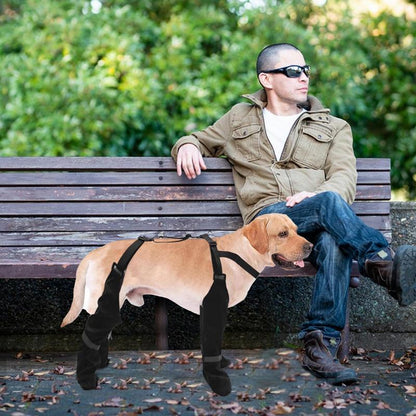 Hondenlaarzen - PawGuard - Bescherming voor alle weersomstandigheden - Duurzaam ontwerp