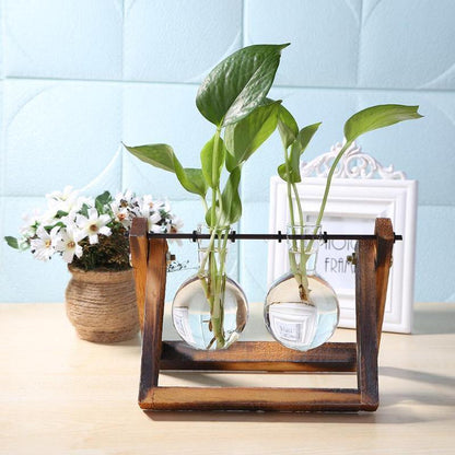 Propagatievaas - GlassNest - Houten Stand - Decoratieve Plantenhouder