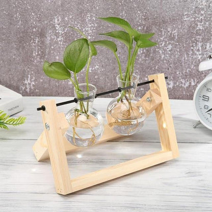 Propagatievaas - GlassNest - Houten Stand - Decoratieve Plantenhouder