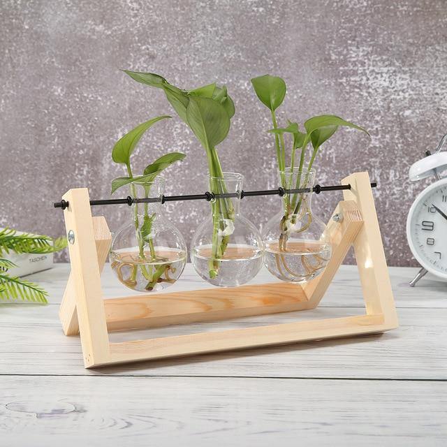 Propagatievaas - GlassNest - Houten Stand - Decoratieve Plantenhouder