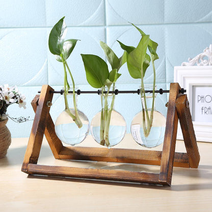 Propagatievaas - GlassNest - Houten Stand - Decoratieve Plantenhouder