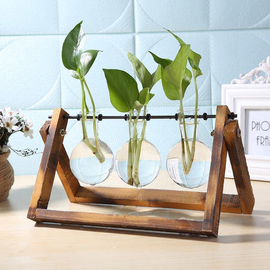 Propagatievaas - GlassNest - Houten Stand - Decoratieve Plantenhouder