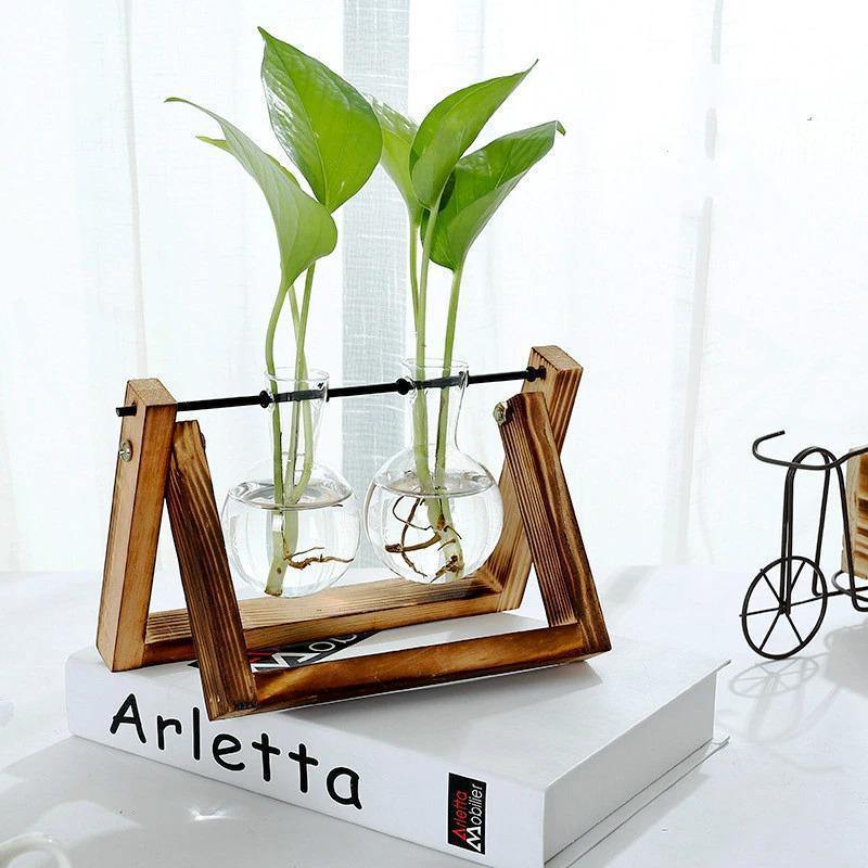 Propagatievaas - GlassNest - Houten Stand - Decoratieve Plantenhouder